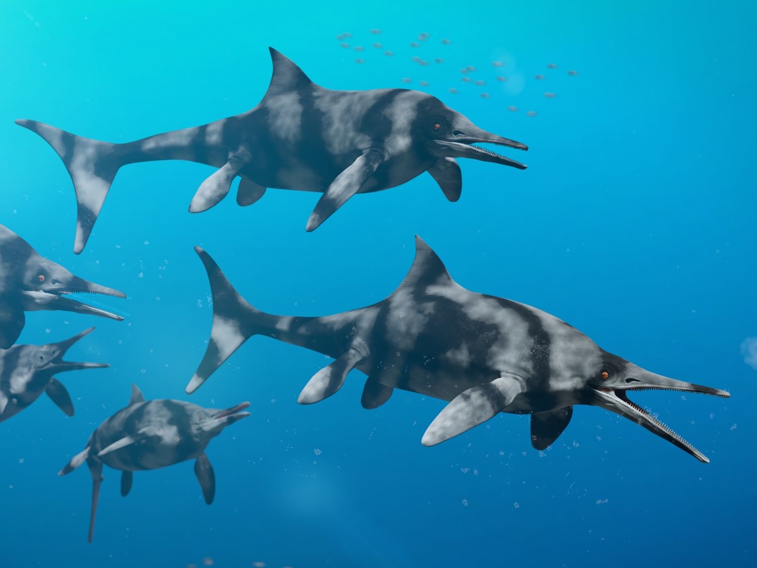 Skupina ichtyosaurů Ophthalmosaurus plave pod hladinou pravěkého moře